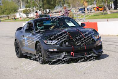 media/Mar-29-2025-Speed Ventures (Sat) [[9900210f0d]]/Purple/Grid and Front Straight/